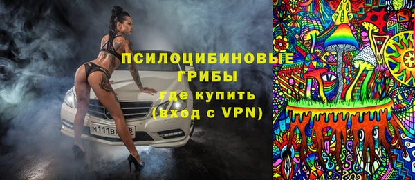 гашик Бронницы