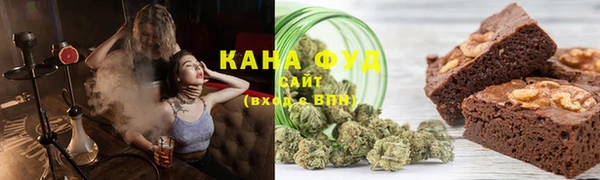 МДПВ Бородино