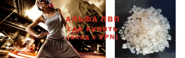 МДПВ Бородино