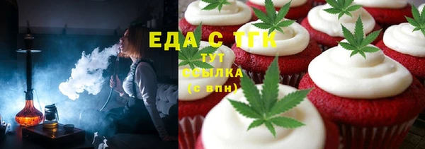 МДПВ Бородино