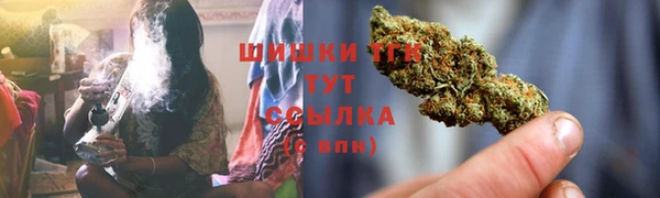 гашик Бронницы