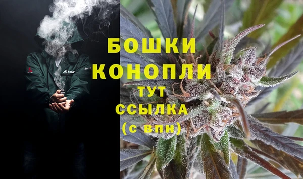 гашик Бронницы