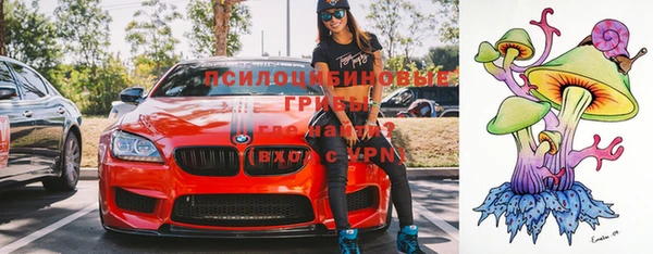 гашик Бронницы