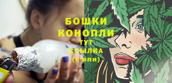 гашик Бронницы